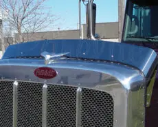 BUG DEFLECTOR