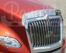 BUG DEFLECTOR - LT SERIES - 5 PACK