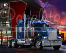 W900