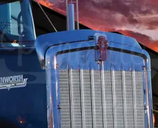 BUG DEFLECTOR - W900L