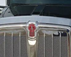 BUG DEFLECTOR W990