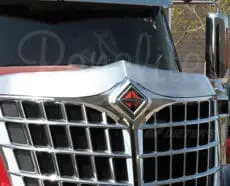 BUG DEFLECTOR - LONESTAR