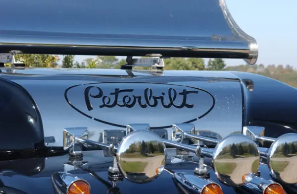 emblem sleeper panel 2