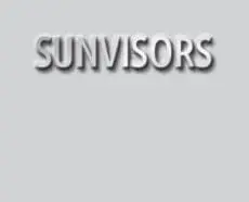 SUNVISORS