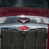5 PACK BUG DEFLECTOR - NEW MODEL/MLU 579 - Image 2