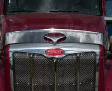 BUG DEFLECTOR - NEW MODEL/MLU 579