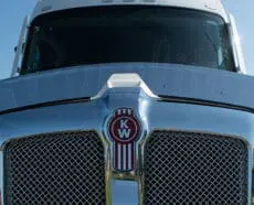 T680 NEXT GEN/MLU - BUG DEFLECTOR