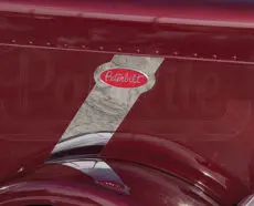 EMBLEM ACCENT - 589
