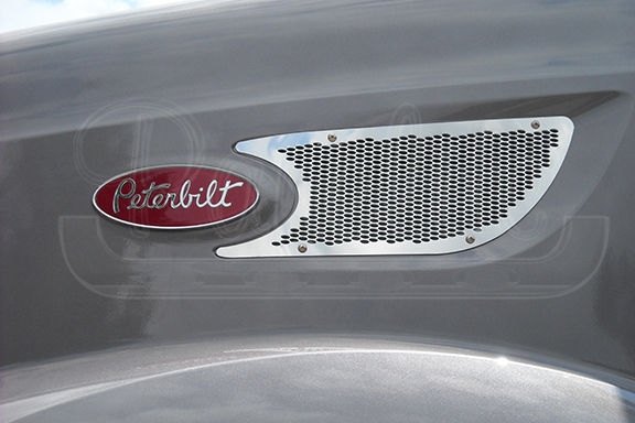 INTAKE GRILLE image