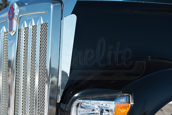 GRILLE DEFLECTORS – W990 image