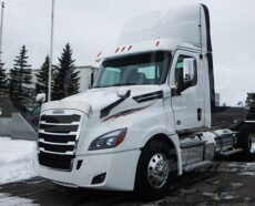 BUG DEFLECTOR - NEW CASCADIA