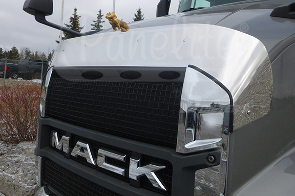 BUG DEFLECTOR - MACK ANTHEM - 5 PACK image