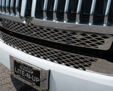 BUMPER GRILLE INSERT - WESTERN STAR 57X