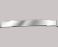 INTERNATIONAL 5600 PAYSTAR - BUG DEFLECTOR